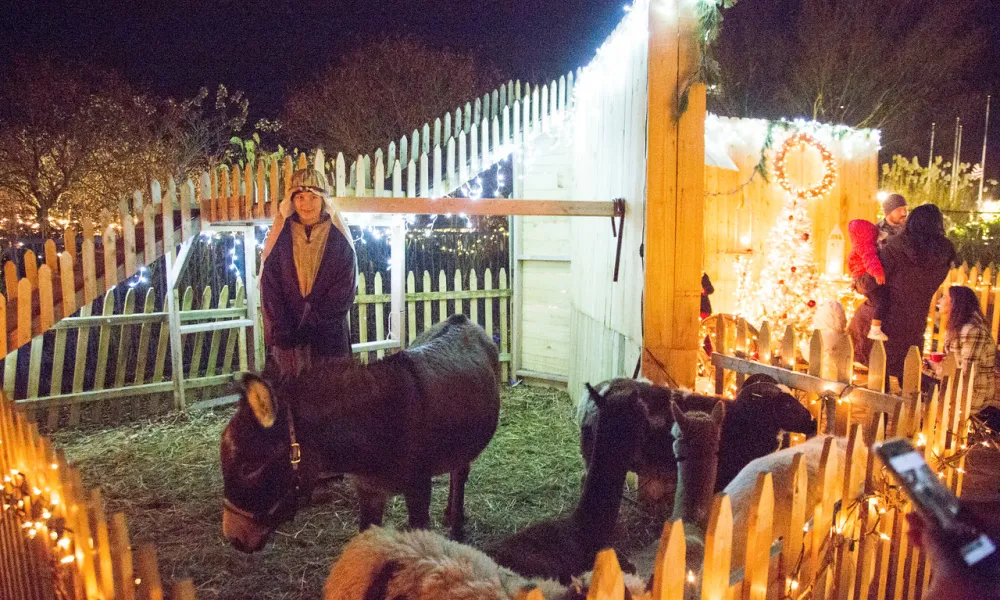 Live nativity scene.