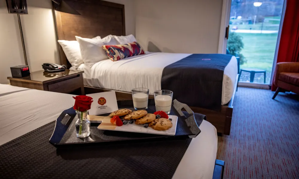 Deluxe Patio Guest Room at Minerals Hotel