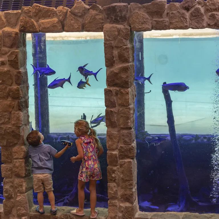 Children standin next to Minerals Hotel aquarium.