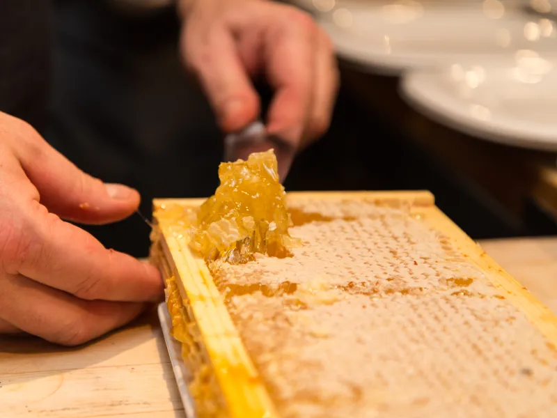 Honey comb